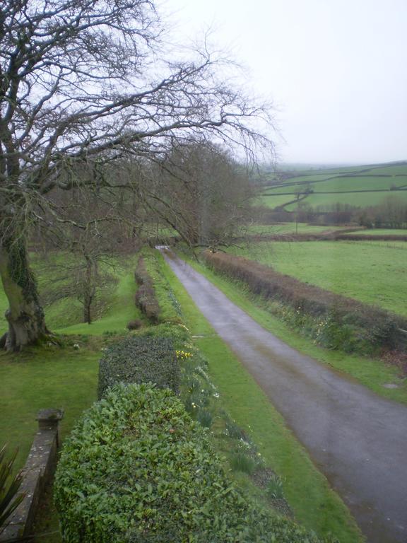 Buckley Farmhouse B & B 시드머스 외부 사진